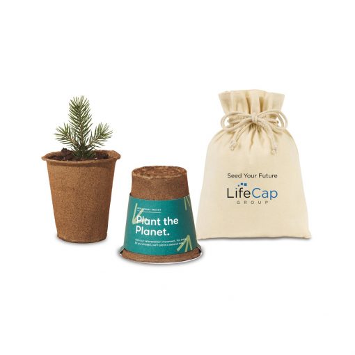 Modern Sprout® One For One Tree Kits - Spruce