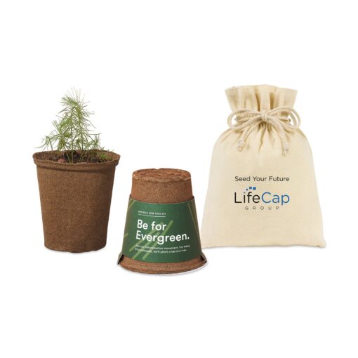 Modern Sprout® One For One Tree Kits - Loblolly Pine