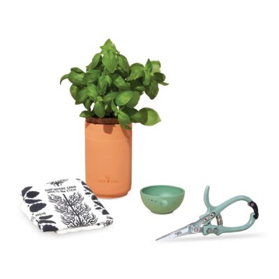 Modern Sprout® Growing Gourmet Gift Set - Terracotta