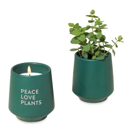 Modern Sprout® Rooted Candle - Dark Teal-Thyme