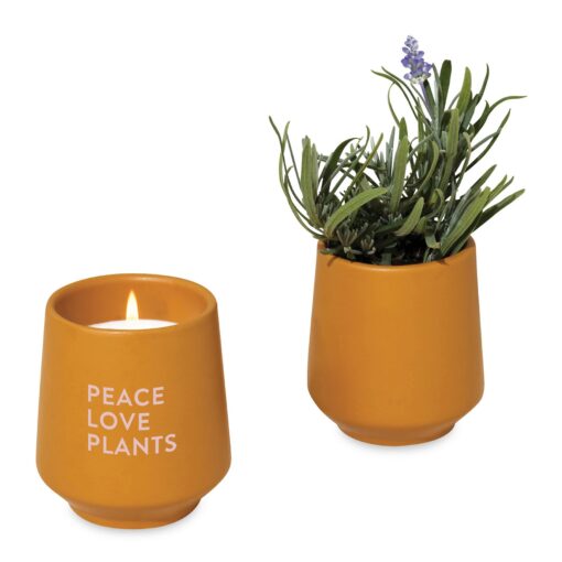 Modern Sprout® Rooted Candle - Mustard-Lavender