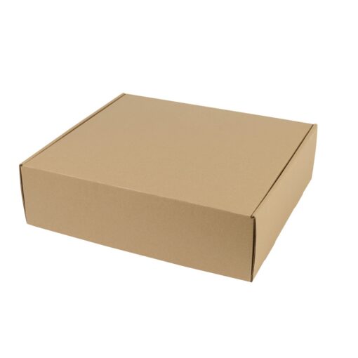 Extra Large Box Mailer - Kraft-2