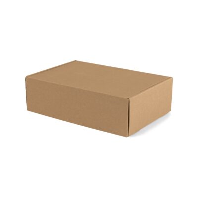 Medium Box Mailer - Kraft-1
