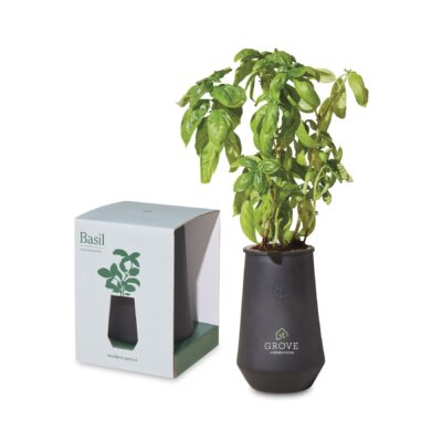Modern Sprout Tapered Tumbler Grow Kit - Black-Basil-1