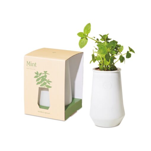 Modern Sprout Tapered Tumbler Grow Kit - White-Mint-2