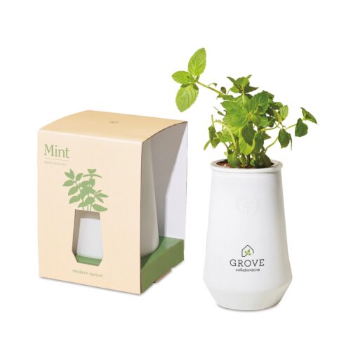 Modern Sprout Tapered Tumbler Grow Kit - White-Mint-1