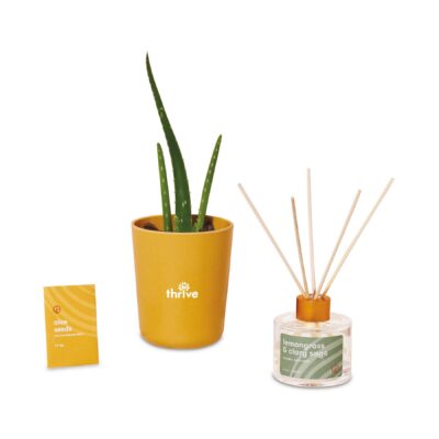 Modern Sprout® Find Balance Take Care Kit - Aloe - Find Balance-1
