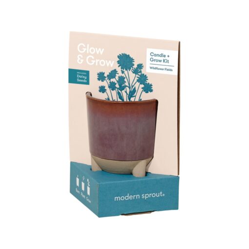 Modern Sprout® Glow & Grow Live Well Gift Set - Burgundy: Wildflower w- Daisy Seeds-3
