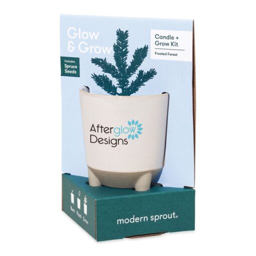 Modern Sprout® Glow & Grow Live Well Gift Set - Ice Blue: Frosted Forest w-Spruce Seeds-3
