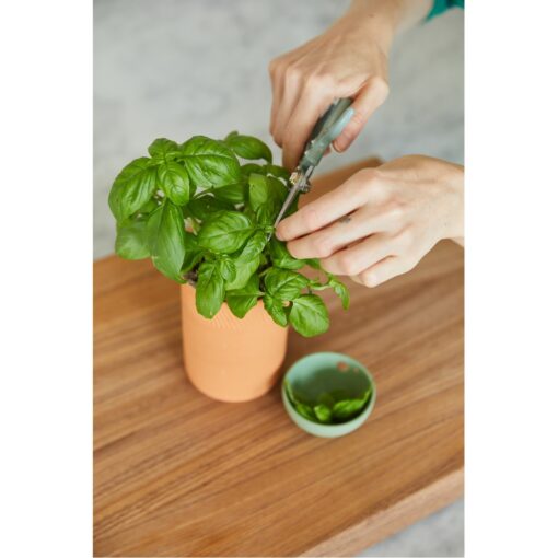 Modern Sprout® Growing Gourmet Gift Set - Terracotta-6