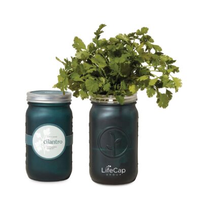 Modern Sprout® Indoor Herb Garden Kit - Emerald-1