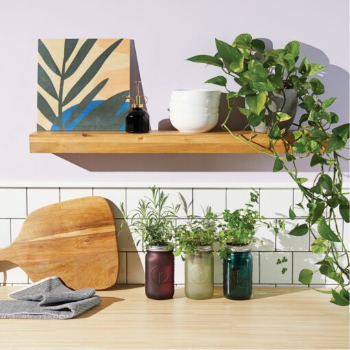 Modern Sprout® Indoor Herb Garden Kit - Lavender-5