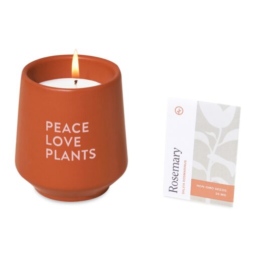 Modern Sprout® Rooted Candle - Sienna-Rosemary-3