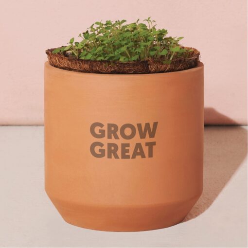 Modern Sprout® Tiny Terracotta Grow Kit Champagne Poppies - Terracotta-3