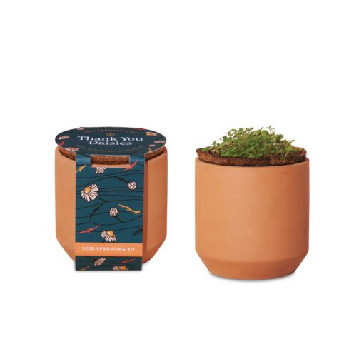 Modern Sprout® Tiny Terracotta Grow Kit Thank You Daisies - Terracotta-2